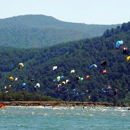 Amigo Karanfil Sokak 1_1